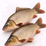 Комбикорм для рыб